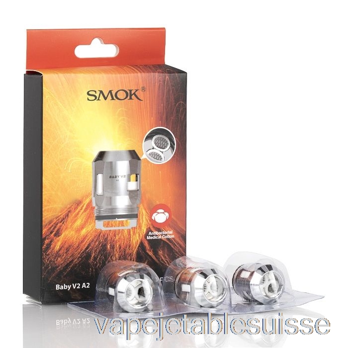 Vape Suisse Smok Tfv8 Baby V2 Bobines De Remplacement 0.2ohm Baby V2 A2 Doubles Bobines (ss)